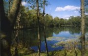 Stephanskirchen Freie Wiesen und Felder – direkt vor Ihrem neuen Zuhause! Zentrumsnahe Top-Randlage in Schloßberg bei Rosenheim! Mit Natur- u