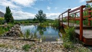 Balatongyörök Rarität! Großzügige Reetdach-Immobilie mit Schwimmteich und unverbaubarem Blick auf den Plattensee Haus kaufen