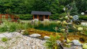 Balatongyörök Rarität! Großzügige Reetdach-Immobilie mit Schwimmteich und unverbaubarem Blick auf den Plattensee Haus kaufen