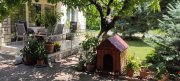 Siófok Blick auf den BALATON Haus kaufen