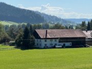 Maierhöfen Viel Platz in herrlicher Umgebung - Logenplatz zur Natur! Haus kaufen