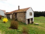 Plombières-les-Bains (bei) Autentisch erhaltene Farm mit Umschwung - 90 Min. von Basel u. Weil am Rhein Haus kaufen