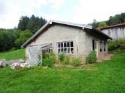 Rehaupal (bei) Farm in dominanter allein Lage, 2 ht Grdst., Nebengebäude, 8 Zimmer in den Vogesen - 90 Km von Breisach am Rhein (DE) Haus