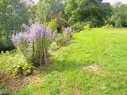 Rehaupal (bei) Farm in dominanter allein Lage, 2 ht Grdst., Nebengebäude, 8 Zimmer in den Vogesen - 90 Km von Breisach am Rhein (DE) Haus