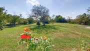 Árpás PROVISIONSFREI! Nettes Einfamilienhaus in grüner, ruhiger Lage mit großem Grundstück Haus kaufen