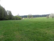 Pressath Landwirtschaftliche Fläche Naturpark Hessenreuther Wald Grundstück kaufen