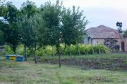 General Toshevo Bulgarien, Toshevo, 6.500 € Einstöckiges Haus mit Garten in einem ruhigen und friedlichen Dorf Haus kaufen