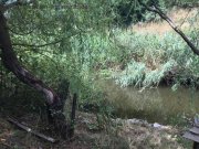 Vas Megye Bauernhaus in ruhige Lage Haus kaufen