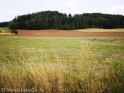 Grub am Forst 2 1. 8 0 5 qm GEWERBE Grundstück mit schneller Anbindung nach COBURG an der SS 303 / A 73 Grundstück kaufen