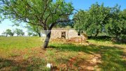 Albufeira Dieses große Grundstück befindet sich in Guia (Albufeira). Es enthält verschiedene Arten typischer Algarve-Obstbäume, eine