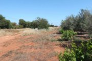 Avgorou 5610m2 plot of land with build permit for a property near Avgorou village - LAVG116.Available with road access this large plot