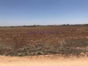 Avgorou LAVG118 - 17,253m2 plot of Agricultural Land in Avgorou Village,This large plot had road access and 7 water well points. The