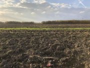 BAGNO ROSELLE GROSSETO - ROSELLE STRADA DEI LAGHI Gewerbe kaufen