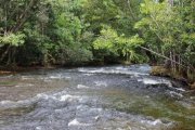  Brasilien 100 Ha Grundstück in der Nähe von Novo Airo AM Grundstück kaufen