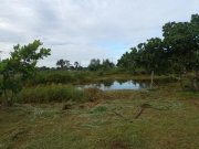  Brasilien 100 Ha Tiefpreis - Grundstück mit Fischteich und Holzhaus in der Nähe von Manaus Grundstück kaufen