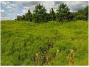  Brasilien 1'000 Ha Tiefpreis - Grundstück mit Rohstoffen Gewerbe kaufen