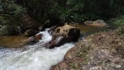  Brasilien 1'000 Ha Tiefpreis - Grundstück mit Rohstoffen Gewerbe kaufen