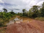  Brasilien 1'000 Ha Tiefpreis - Grundstück mit Rohstoffen Gewerbe kaufen