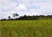  Brasilien 1'000 Ha Tiefpreis - Grundstück mit Rohstoffen Gewerbe kaufen