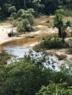  Brasilien 1036 Ha Früchte - Kokosnuss - Viehzucht – Farm mit Sandmine Manaus - AM Grundstück kaufen