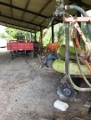  Brasilien 1036 Ha Früchte - Kokosnuss - Viehzucht – Farm mit Sandmine Manaus - AM Grundstück kaufen