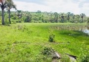  Brasilien 2'800 Ha Tiefpreis - Grundstück mit Rohstoffen Grundstück kaufen