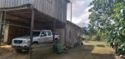  Brasilien 64 Ha Tiefpreis-Grundstück-Früchtefarm im Norden von Manaus AM Grundstück kaufen