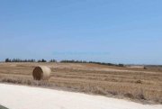 Deryneia LDER159 - 12,375m2 plot of agricultural land in Ayios Nicolaos.Located close to the Famagusta border this plot has an existing