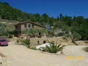  Finca mit Meerblick Haus kaufen