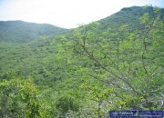 Guacuco Grundstück mit Meer- und Bergblick Grundstück kaufen