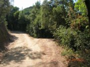 Sant Iscle de Vallalta Dieses Bauernhaus befindet sich am Rande des Montnegre Naturparks in einem Gebiet mit mediterranem Wald, wo sich 
auch noch Haus