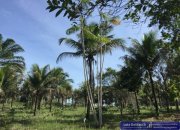 Trancoso / Bahia Großes Grundstück an einem Fluss im Bereich Trancoso / Bahia in Brasilien Grundstück kaufen