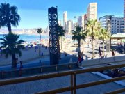 Benidorm Direkt am Strand Benidorm/Spanien - Voll möblierte 2 ZW mit Balkon und Wintergarten Wohnung mieten