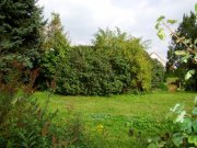 Borna Wohnen wie im eigenen Haus, Terrasse, Parkett und Korkböden Wohnung mieten