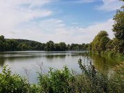 Altenburg 3 Zimmerwohnung in Altenburg mit Wannenbad, helle und freundliche Zimmer, Gasetagenheizung Wohnung mieten