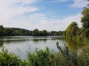 Altenburg Gewerbeeinheit - in zentraler Lage von Altenburg Gewerbe mieten