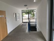 Zwickau 2-Raum-Wohnung, Nähe Schwanenteich mit neuer EBK, Fahrstuhl und TG-Stellplatz Wohnung mieten