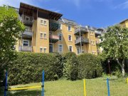 Plauen Geräumige 4 ZKB Wohnung über 2 Etagen mit Balkon Wohnung mieten