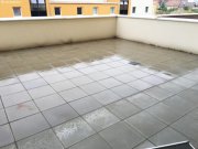 Wiener Neustadt PROVISIONSFREI - 4 Zimmer + große Terrasse Wohnung mieten