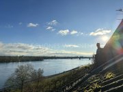 Mainz Traumhafte Aussichten - Dachgeschoßwohnung direkt am Rhein | Mainz Wohnung mieten