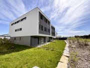 Leutkirch im Allgäu Hochwertige 2-Zi-Wohnung mit überdachter/m Loggia/Balkon in bester Lage von Leutkirch zu vermieten Wohnung mieten