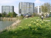 Regensburg Kleines, helles Starterbüro an Top-Standort: 20m², zentral, keine Parkgebühren Gewerbe mieten