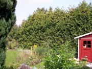 Erfurt (EF0509_M) Erfurt: Stotternheim, möblierte ruhige Souterrain-Wohnung in Wohnhaus mit Garten, für Wochenendheimfahrer Wohnung