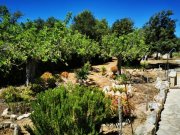 Porreres Schöne Finca in Porreres Haus 