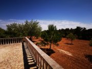 Porreres Schöne Finca in Porreres Haus 